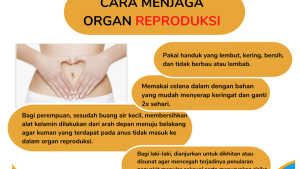 Kesehatan Alat Reproduksi